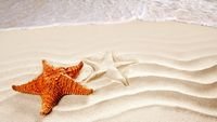 pic for Cool Sea Star 